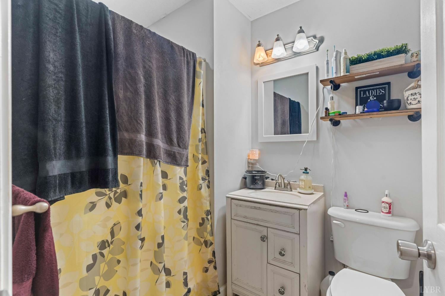858 Farfields Drive Lynchburg, VA 24502 - Photo 20 of 61 a bathroom with a sink toilet and shower