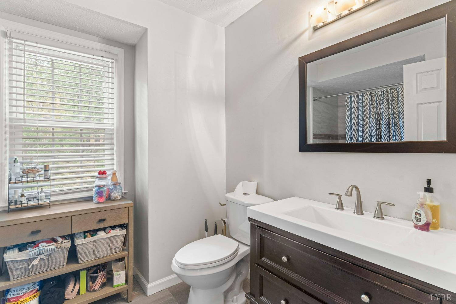 858 Farfields Drive Lynchburg, VA 24502 - Photo 45 of 61 a bathroom with a sink vanity mirror and toilet