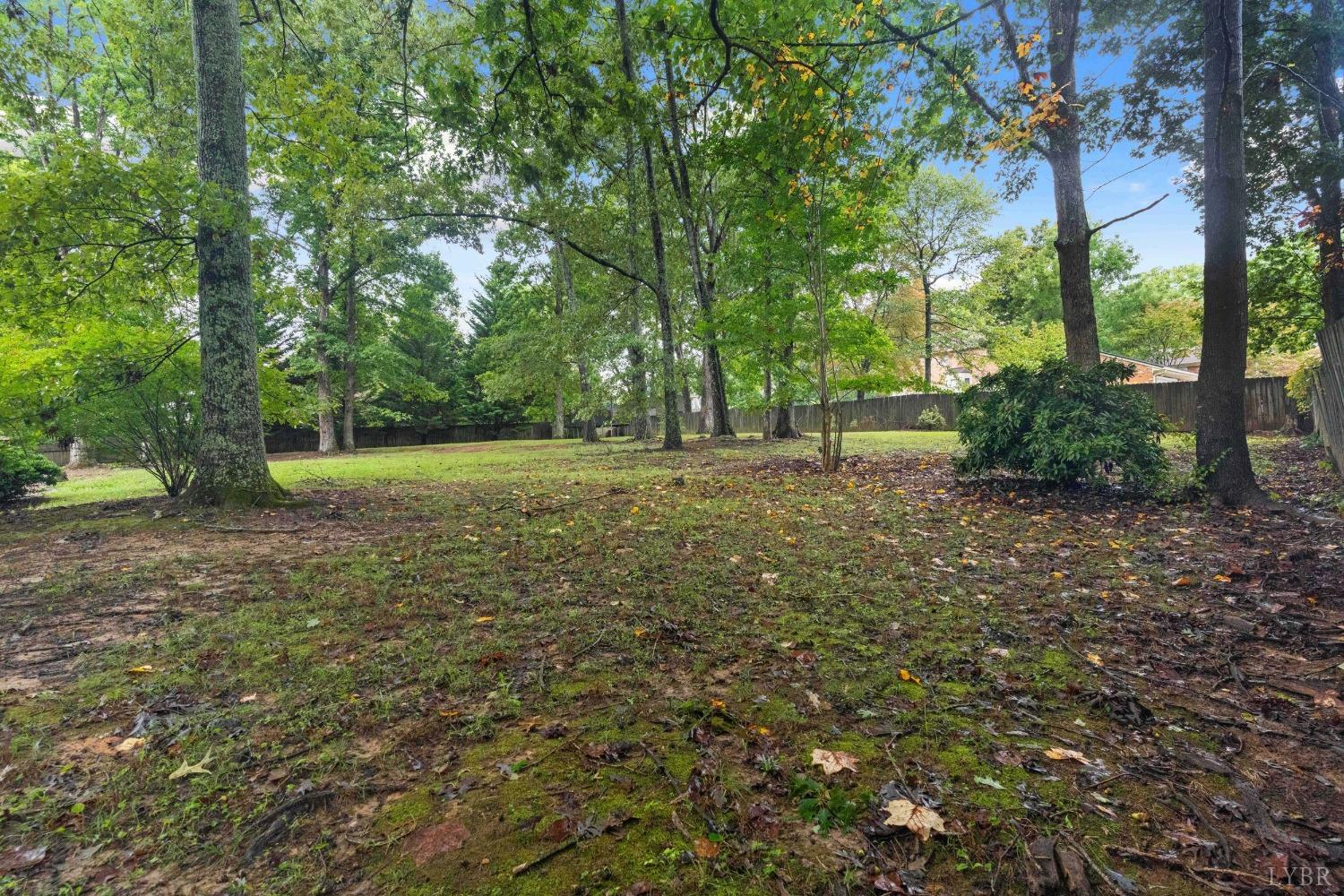 858 Farfields Drive Lynchburg, VA 24502 - Photo 59 of 61 a big yard with lots of green space and trees