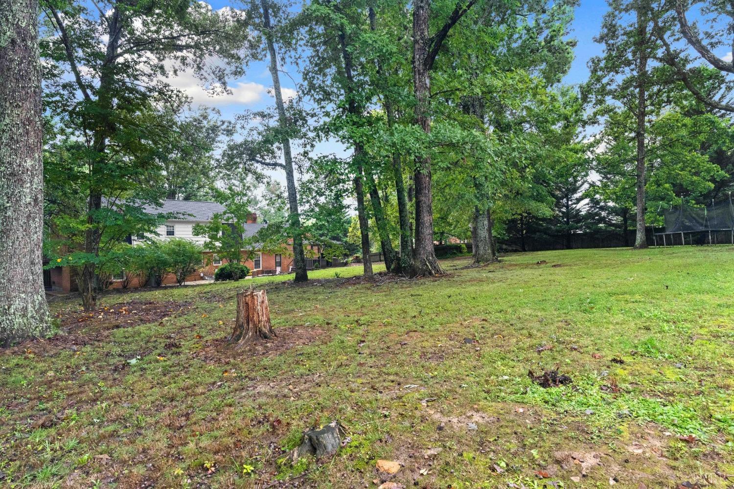 858 Farfields Drive Lynchburg, VA 24502 - Photo 61 of 61 a view of a tree in a yard