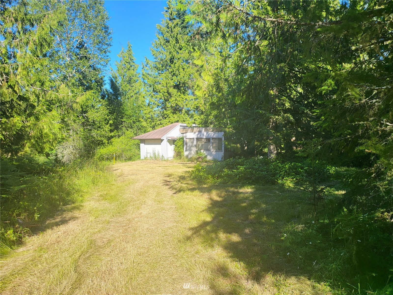 a view of yard with green space