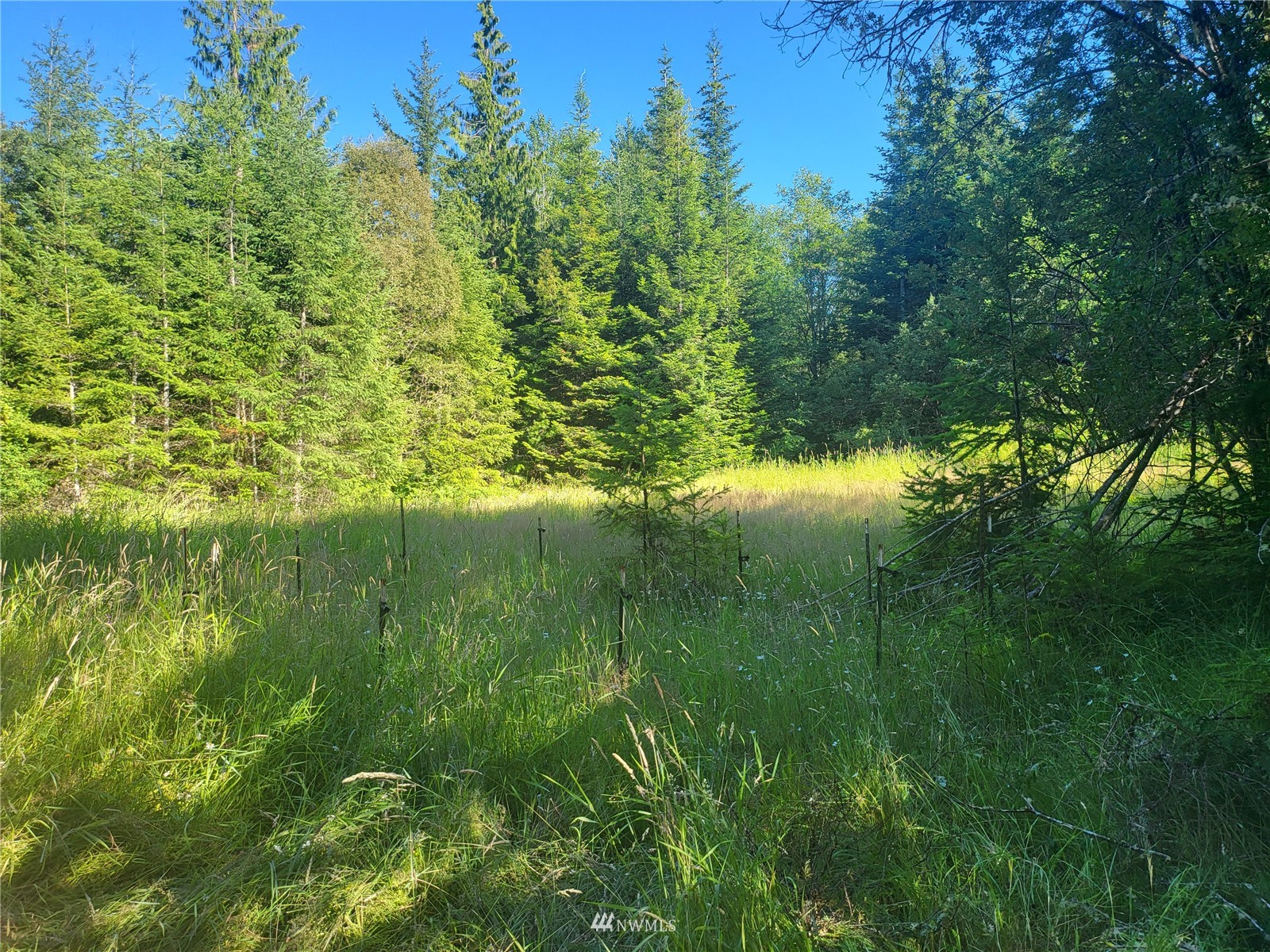 377 South Eldridge Road Sequim, WA 98382 - Photo 11 of 20 a view of a lush green space