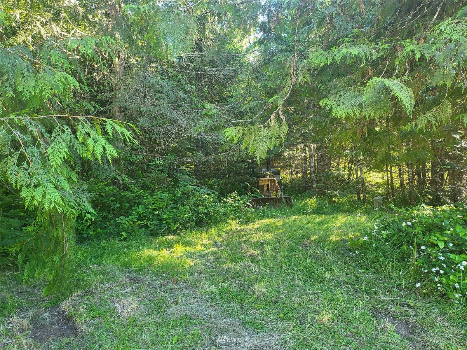 377 South Eldridge Road Sequim, WA 98382 - Photo 15 of 20 a view of yard with green space