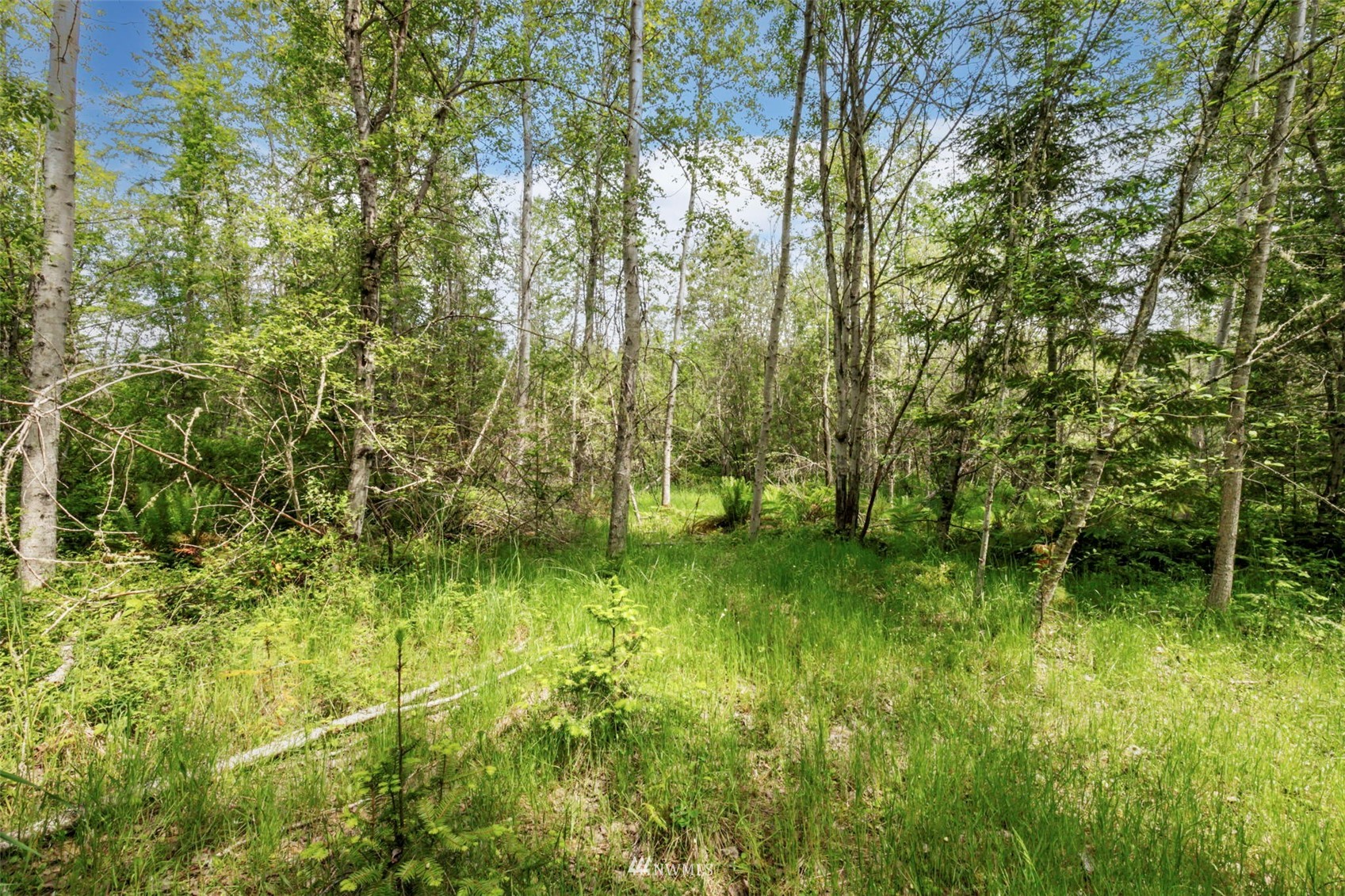 377 South Eldridge Road Sequim, WA 98382 - Photo 17 of 20 a backyard of a house with lots of green space and trees