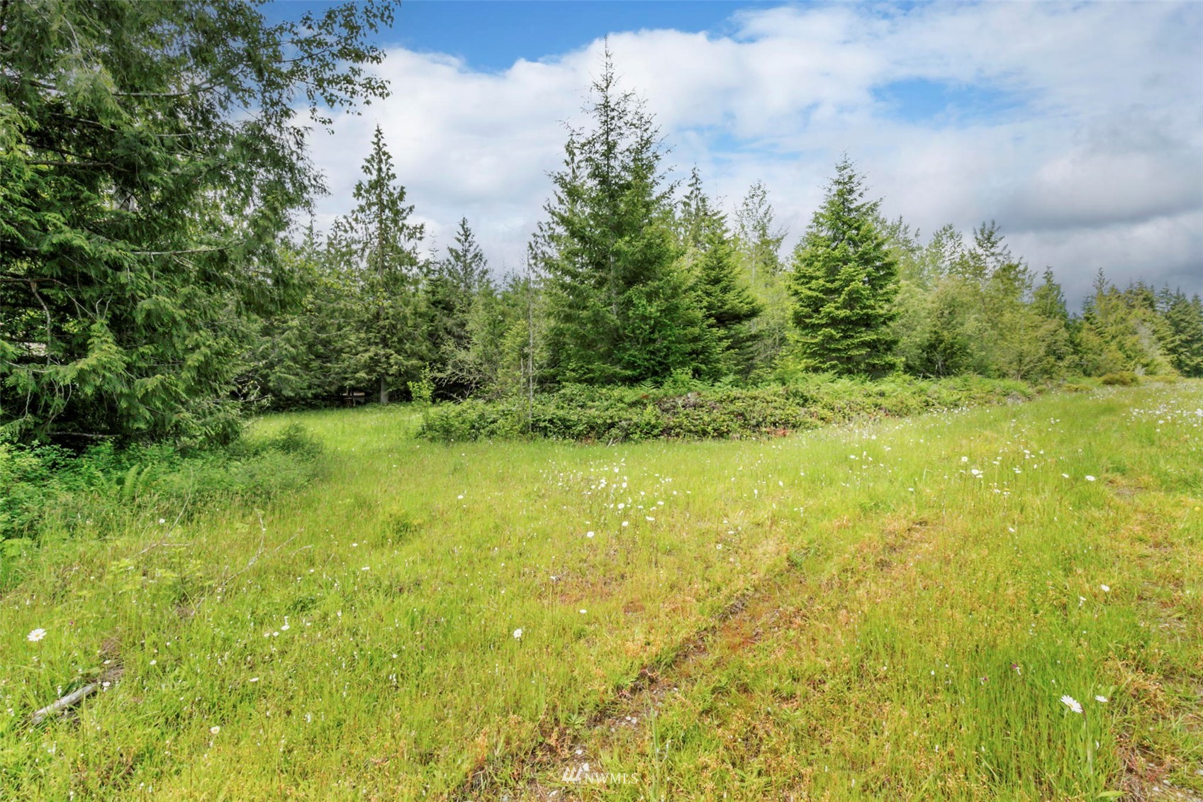 377 South Eldridge Road Sequim, WA 98382 - Photo 18 of 20 a view of yard with green space