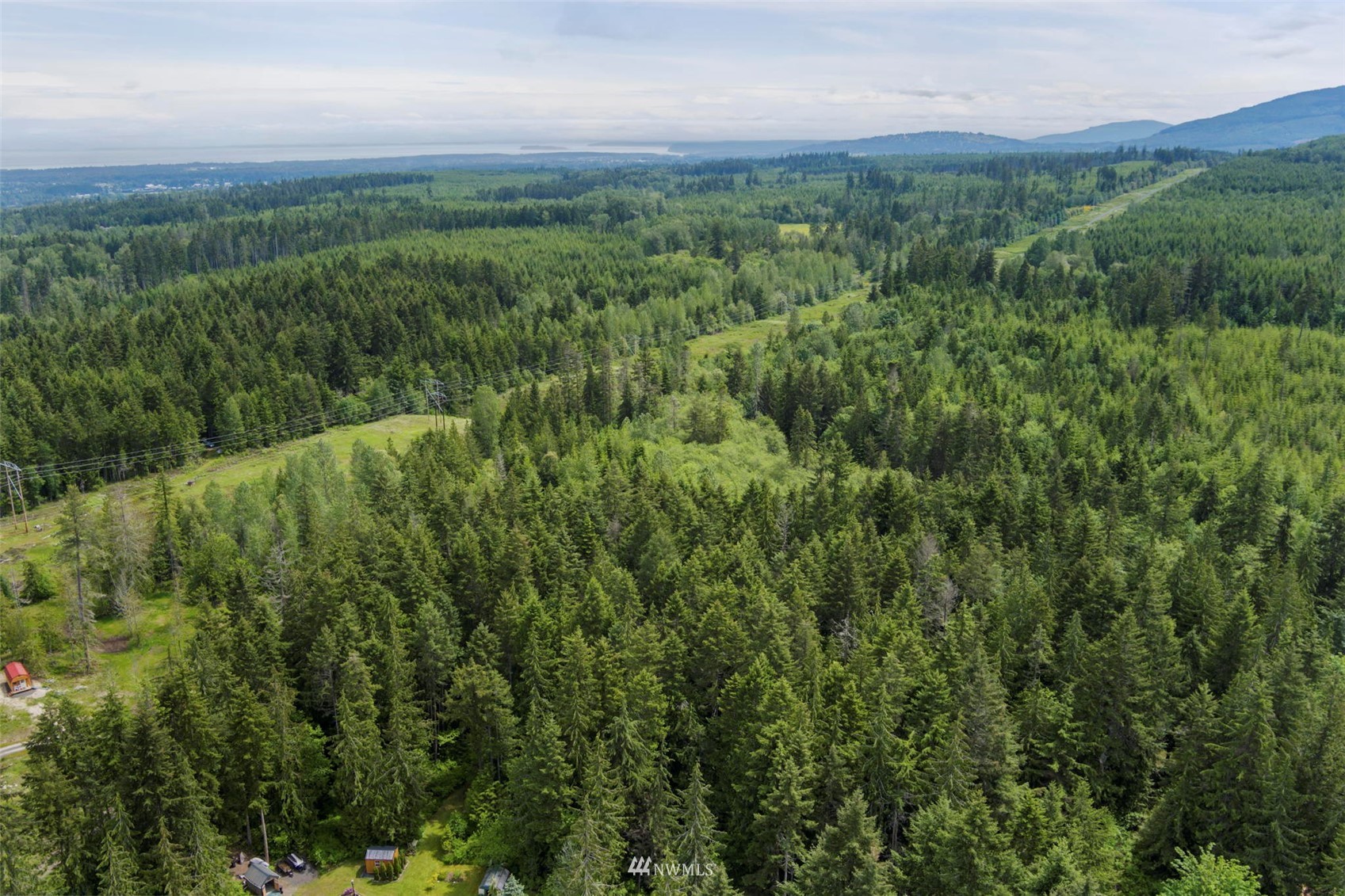 377 South Eldridge Road Sequim, WA 98382 - Photo 19 of 20 a view of a lush green forest with trees in the background