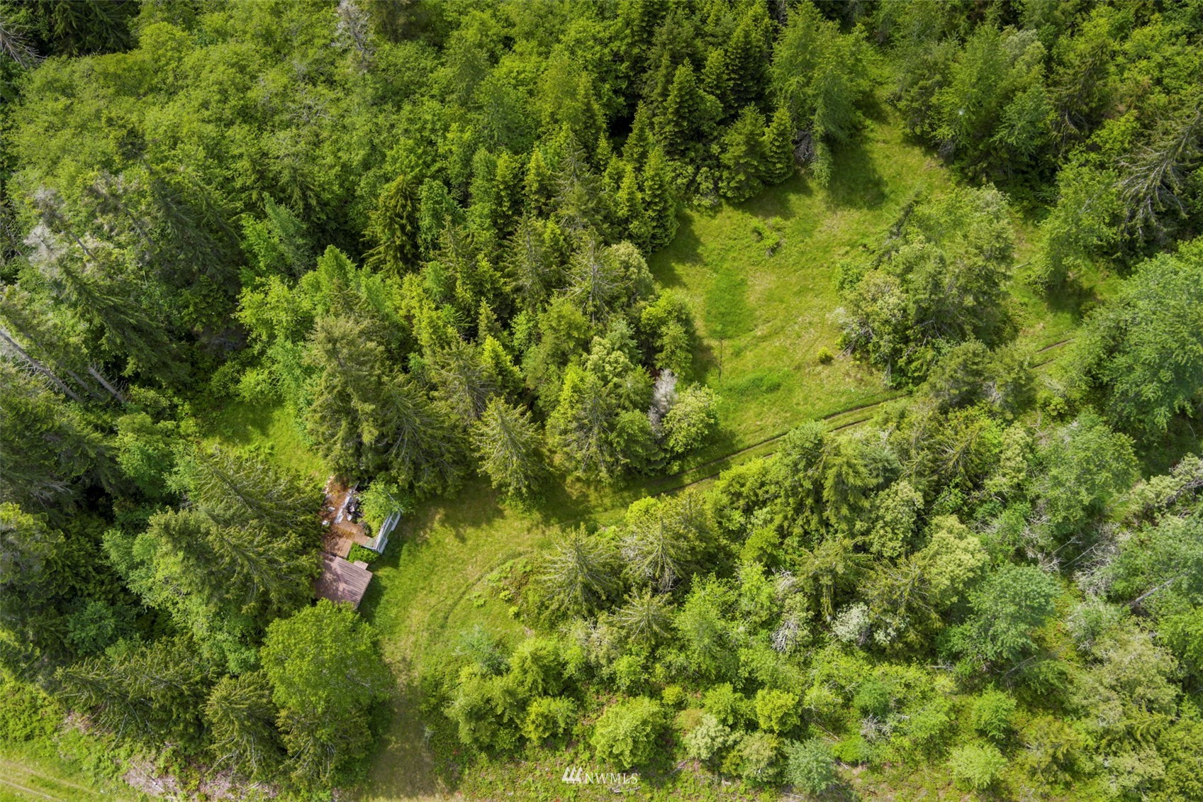 377 South Eldridge Road Sequim, WA 98382 - Photo 2 of 20 a view of a lush green forest