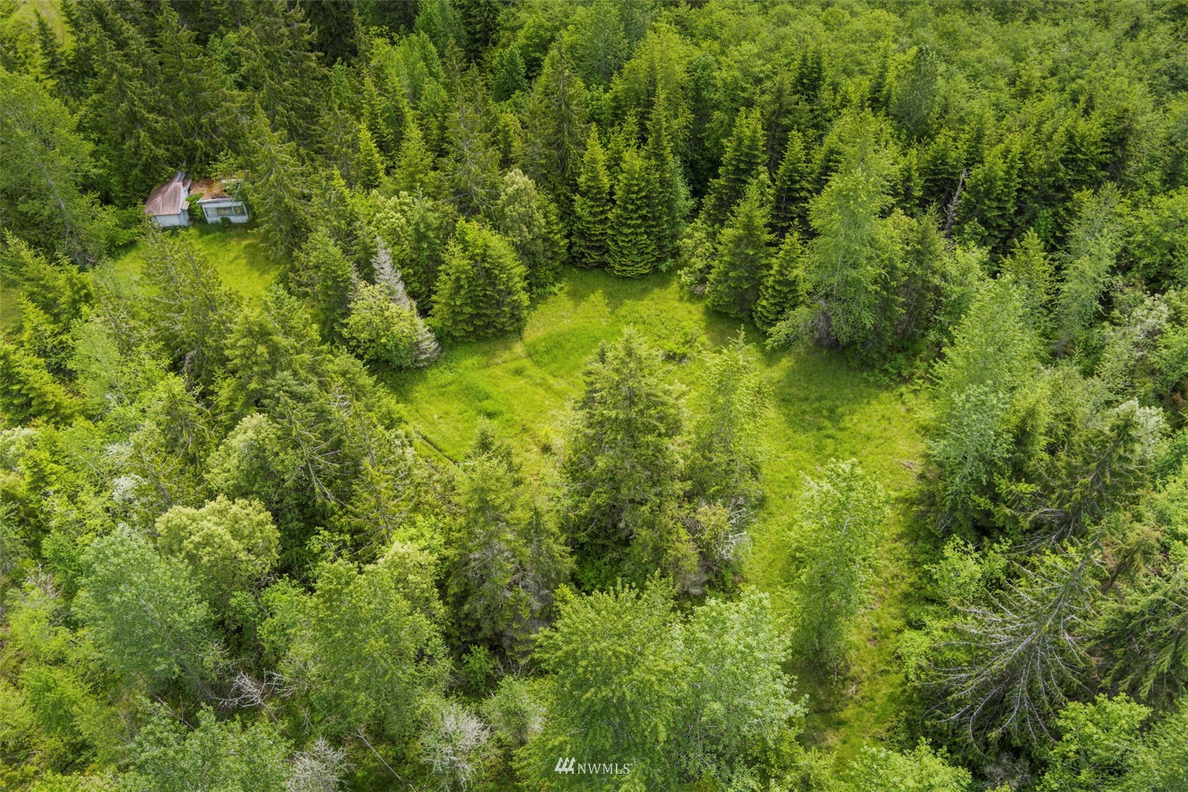 377 South Eldridge Road Sequim, WA 98382 - Photo 3 of 20 a view of a lush green forest