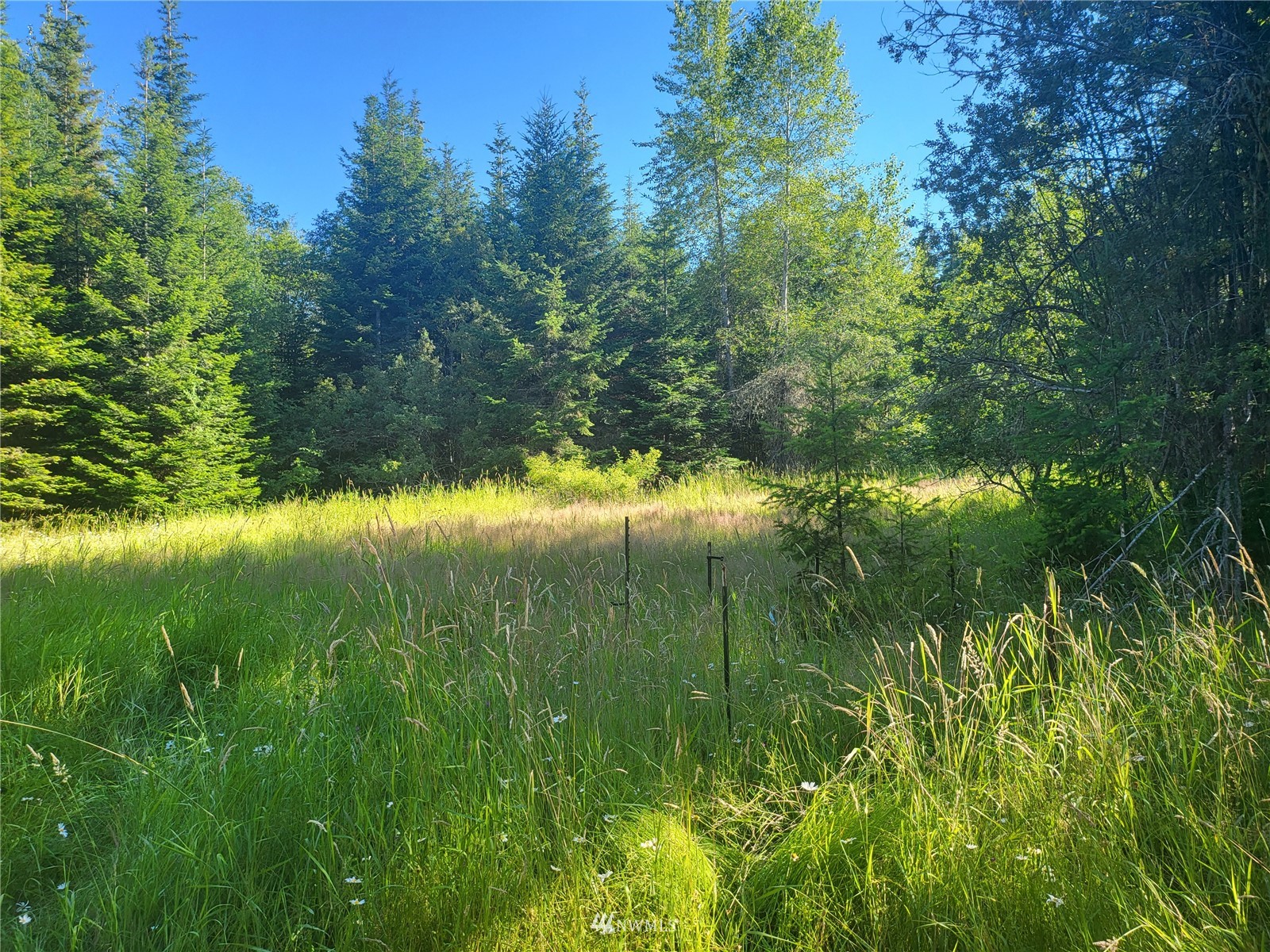 377 South Eldridge Road Sequim, WA 98382 - Photo 9 of 20