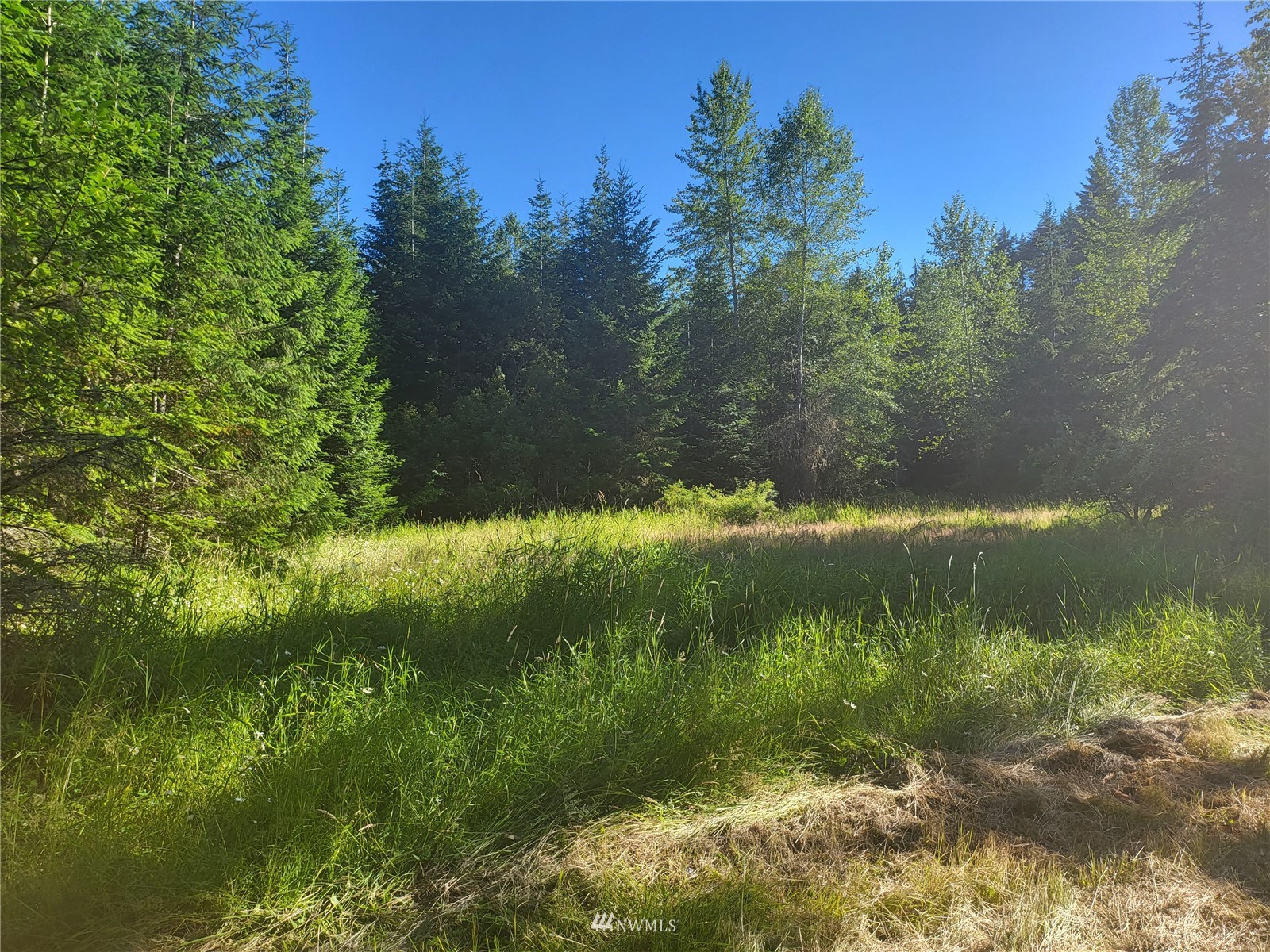 377 South Eldridge Road Sequim, WA 98382 - Photo 10 of 20 a view of a lake from a yard