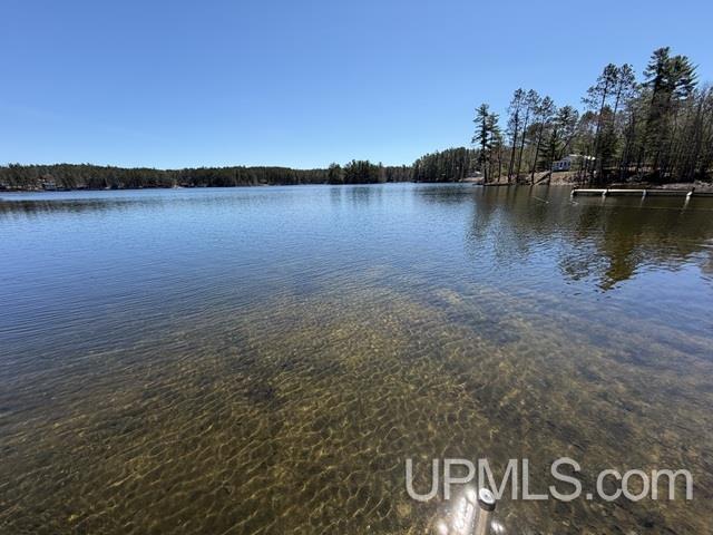 N3876 Lost Lake Road Wetmore, MI 49895 - Photo 24 of 76