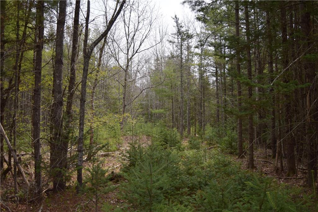 Map 403-lo Map 403-lo Road Thomaston, ME 04861 - Photo 11 of 11 Land