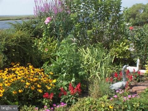 46 Butler Road Long Beach Township, NJ 08006 - Photo 26 of 35