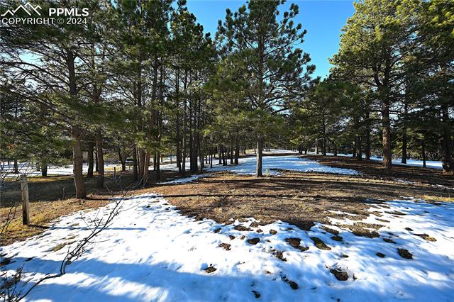 7190 Tobin Road Colorado Springs, CO 80908 - Photo 7 of 11 Gallery Image 7