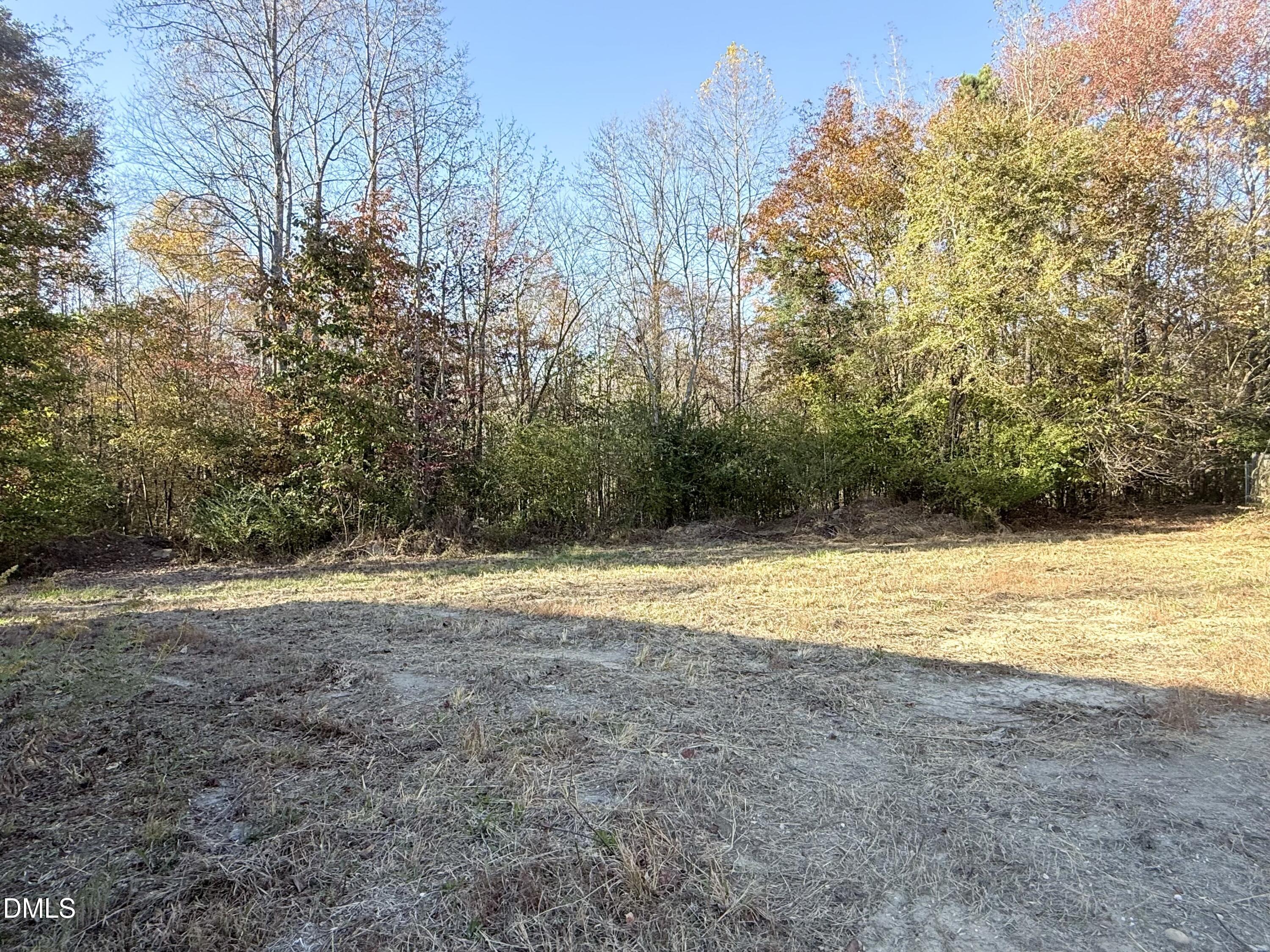 1398 Earpsboro Road Zebulon, NC 27597 - Photo 12 of 14 a view of a yard with an outdoor space