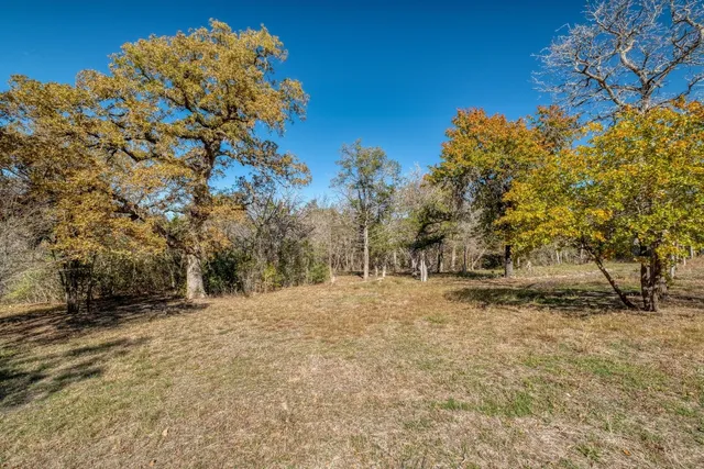 a view of dirt yard with a tree