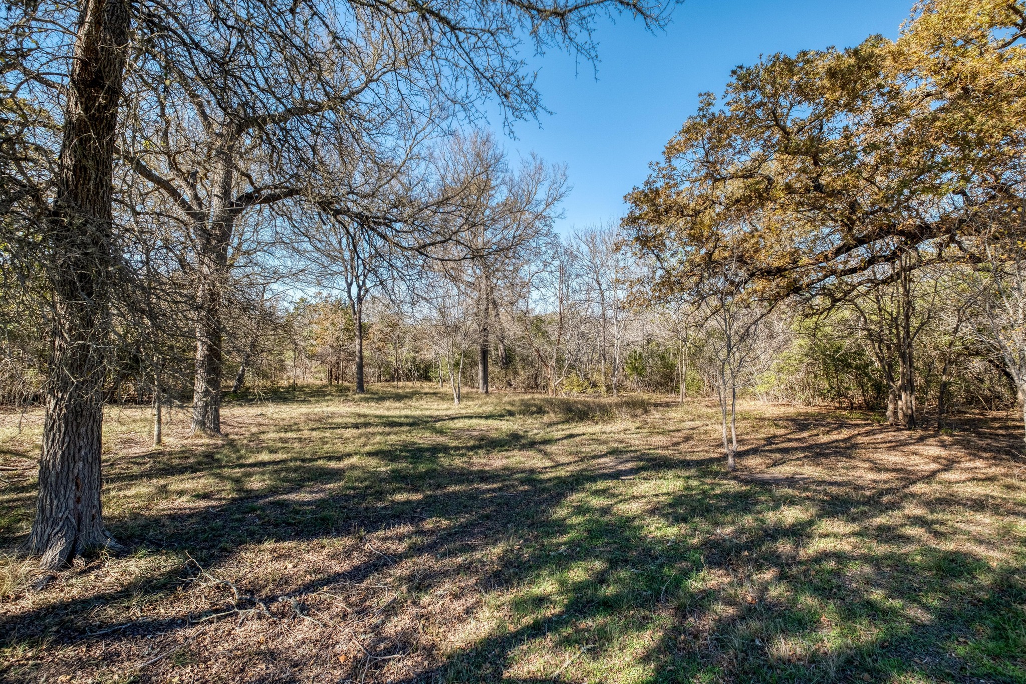 21400 Webberwood Ridge Drive Elgin, TX 78621 - Photo 15 of 22 a view of dirt yard with a large tree