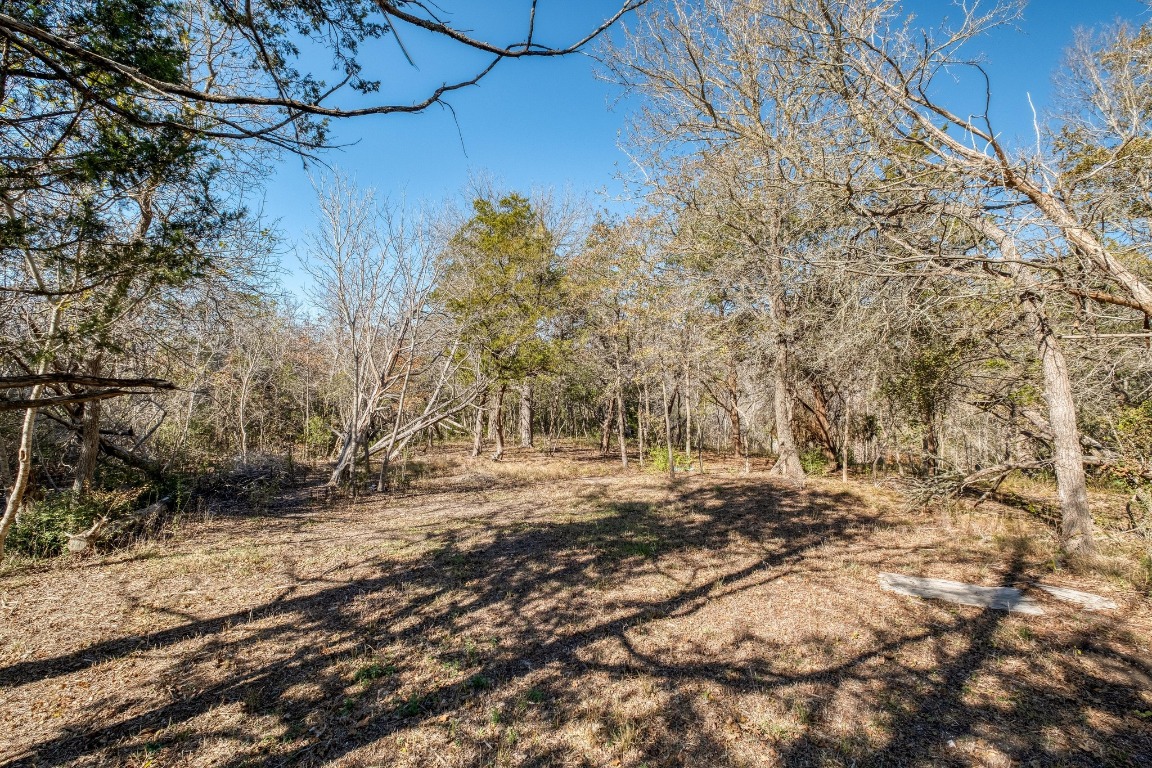 21400 Webberwood Ridge Drive Elgin, TX 78621 - Photo 16 of 22 a view of dirt yard with large trees