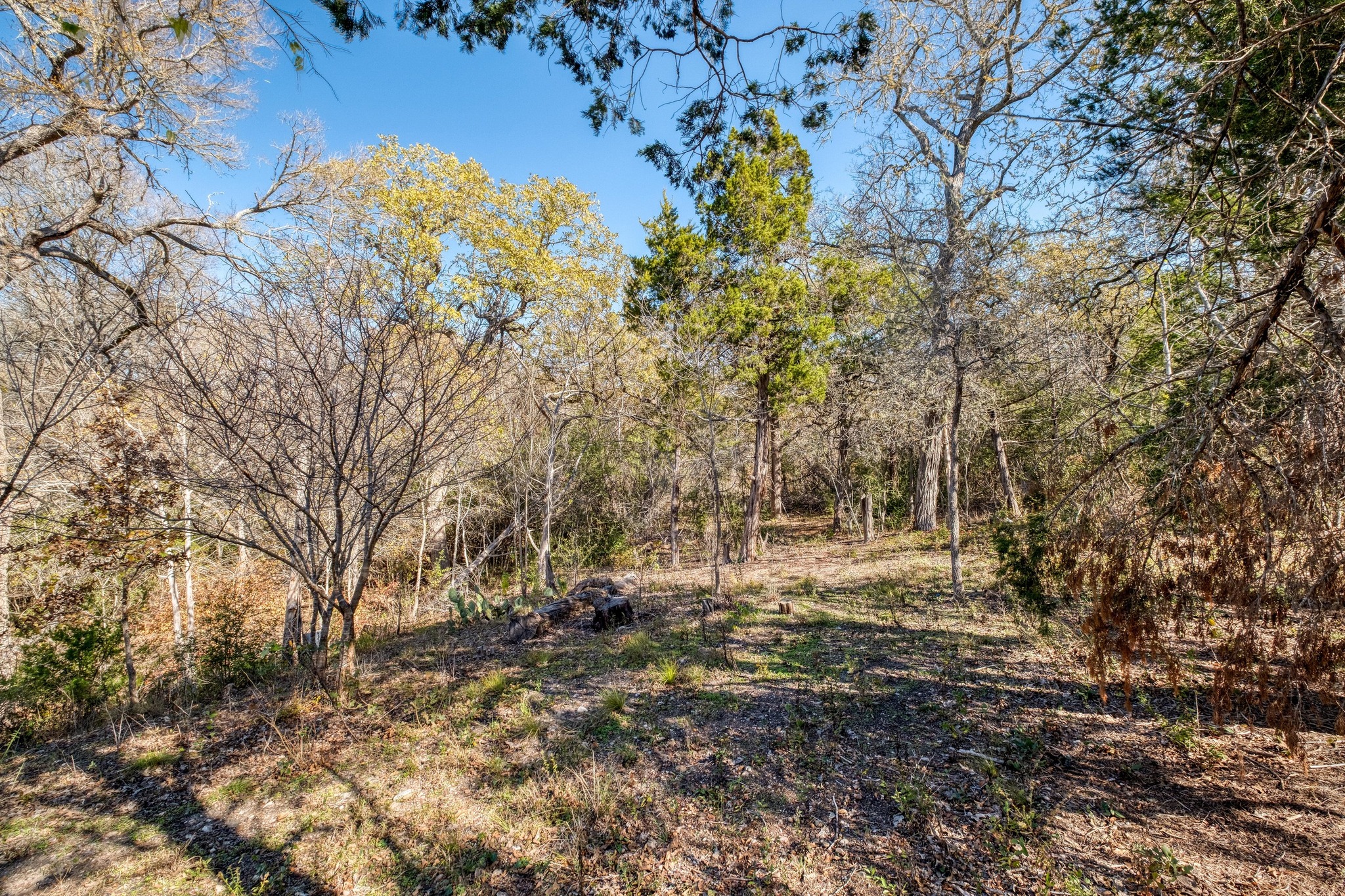 21400 Webberwood Ridge Drive Elgin, TX 78621 - Photo 17 of 22 a view of outdoor space with trees all around