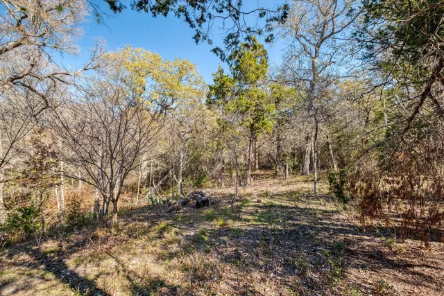 a view of dirt field with trees in the background