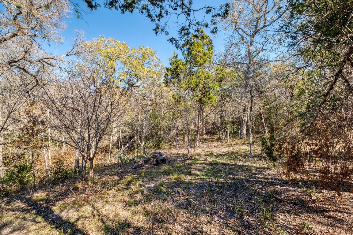 21400 Webberwood Ridge Drive Elgin, TX 78621 - Photo 17 of 22 a view of dirt field with trees in the background