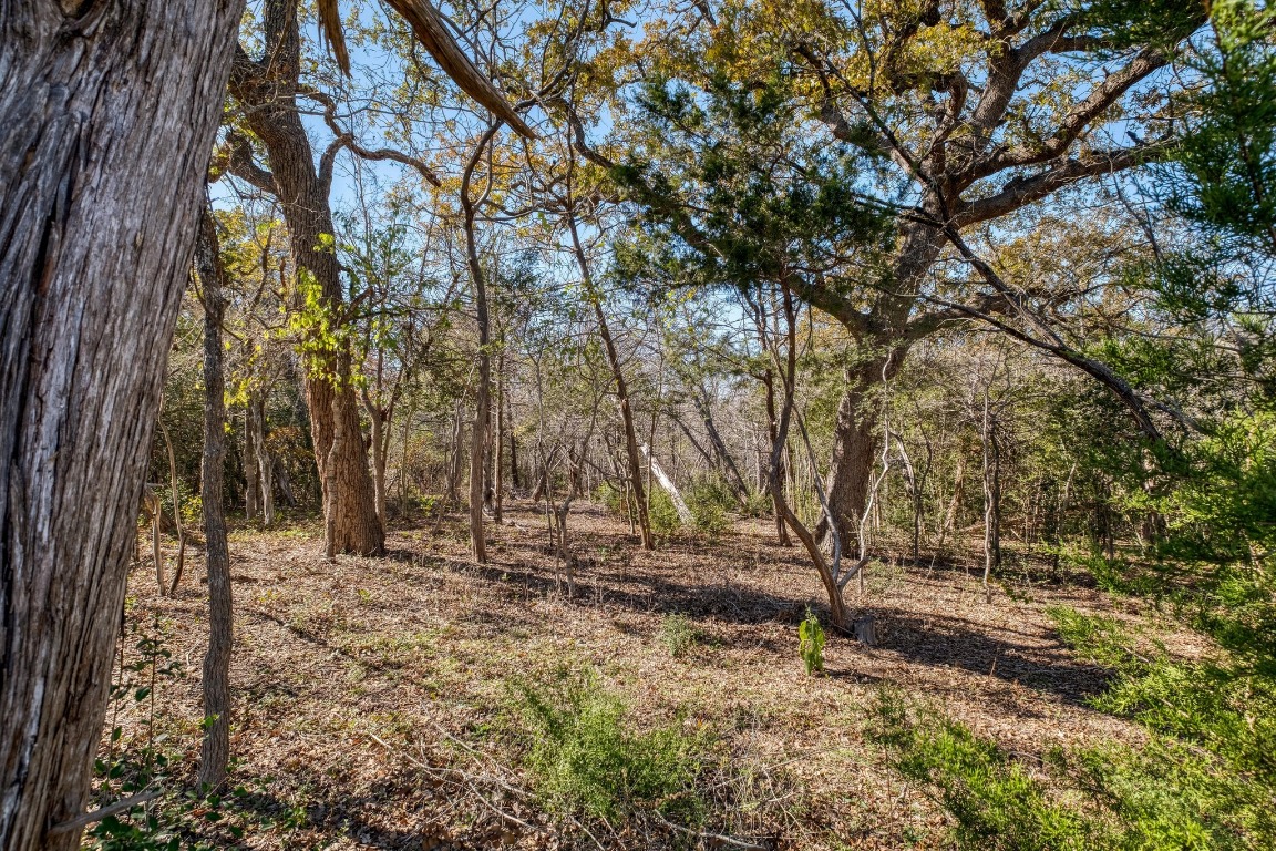 21400 Webberwood Ridge Drive Elgin, TX 78621 - Photo 18 of 22