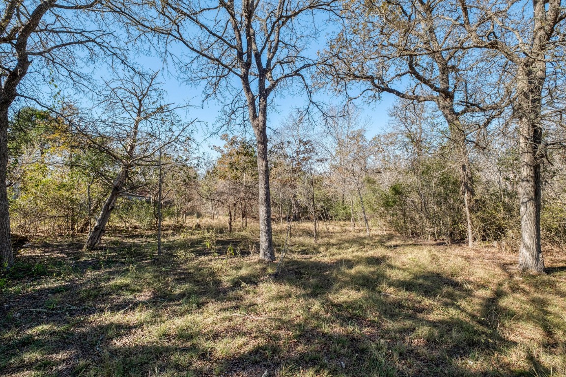 21400 Webberwood Ridge Drive Elgin, TX 78621 - Photo 19 of 22 a view of a yard with trees