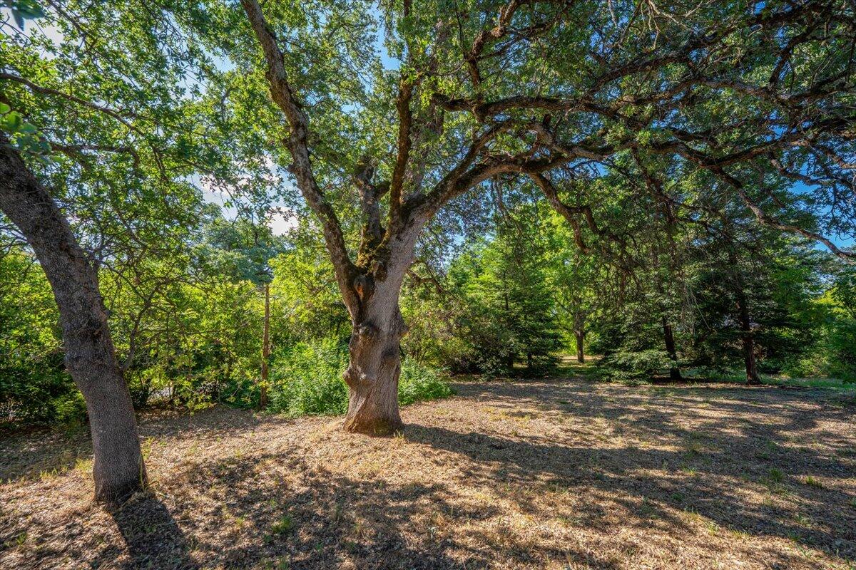 21880 Oak Meadow Road Palo Cedro, CA 96073 - Photo 44 of 79 21880 Oak Meadow