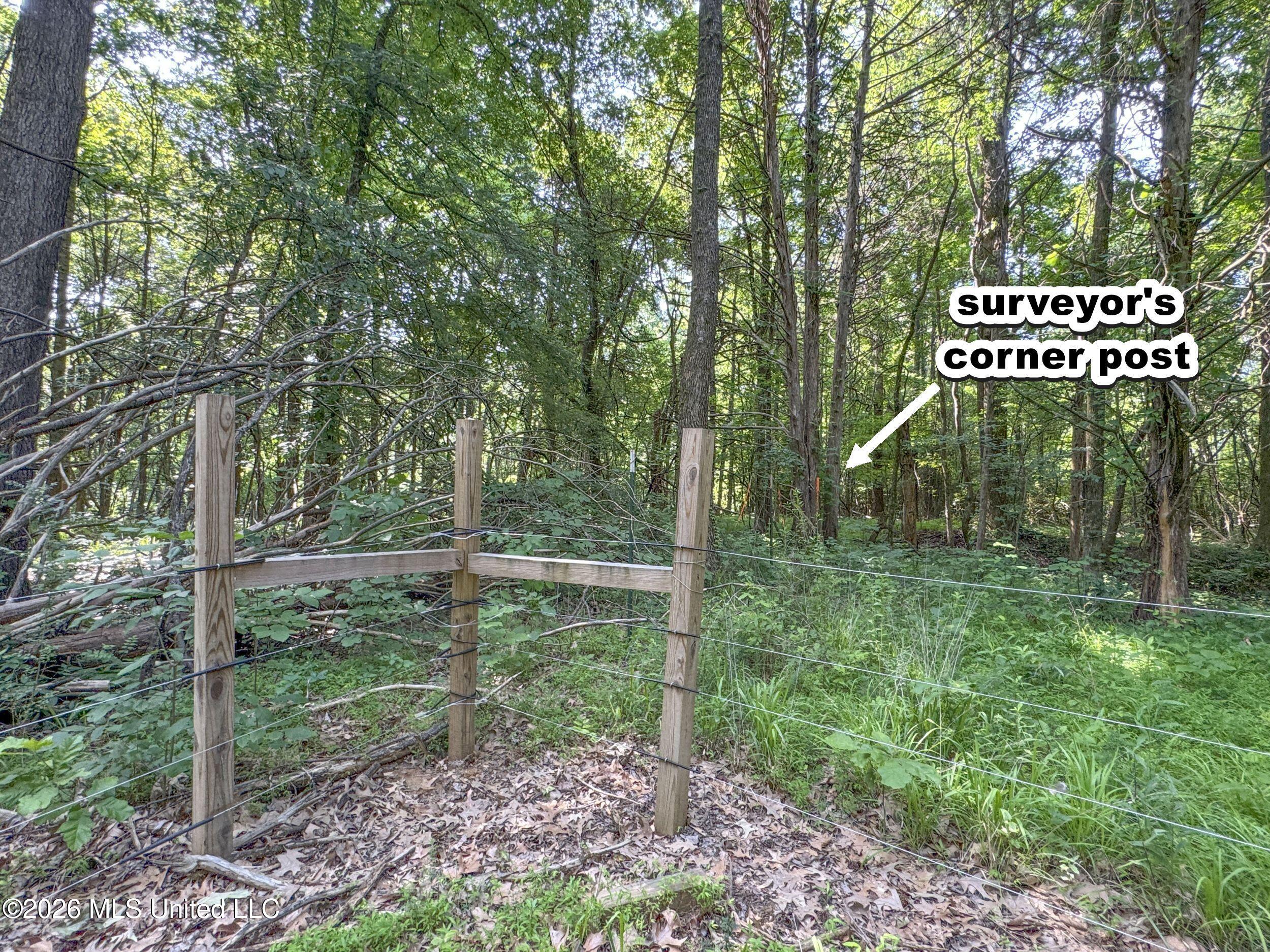 2169 Slocum Road Hernando, MS 38632 - Photo 70 of 94 8slcm29b