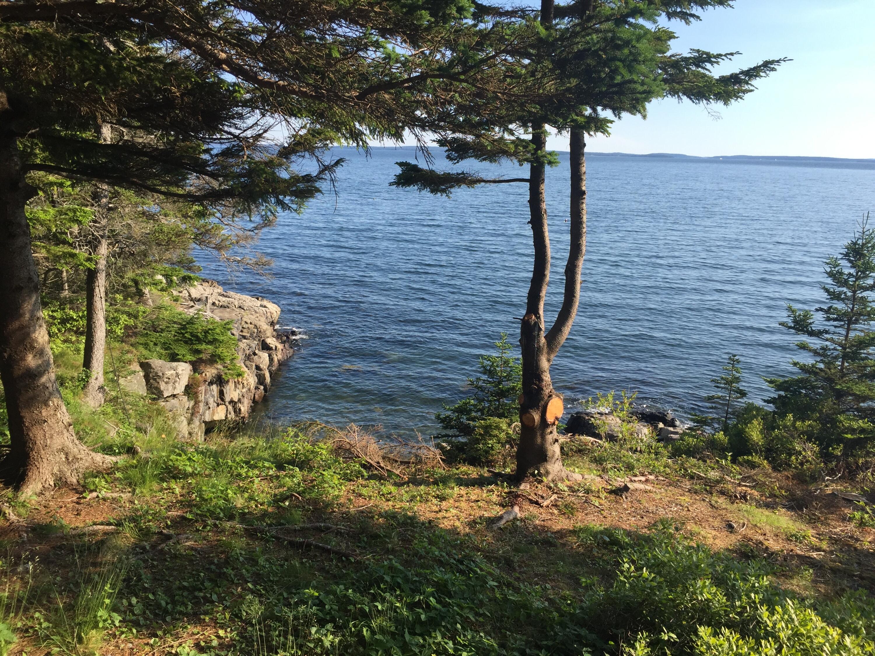 16 Rocky Coast Road Tremont, ME 04612 - Photo 3 of 40 IMG_5760