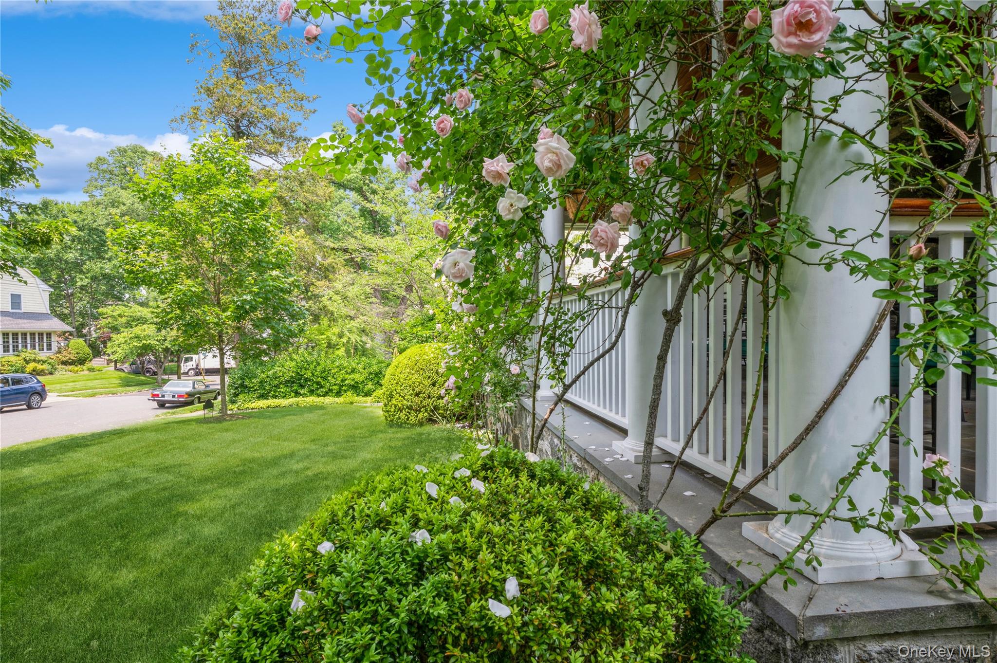 31 Emerson Road Larchmont, NY 10538 - Photo 41 of 43 A lucky new family will get to enjoy these roses for summer 2026! The seller targets a May close date.