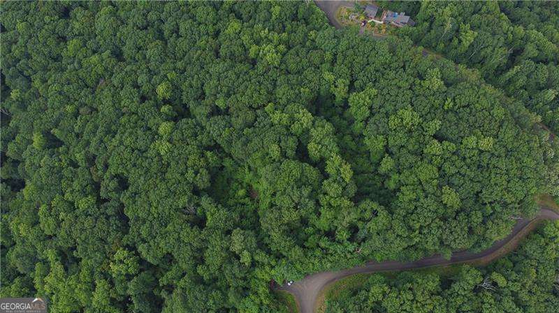 0 Andes Ridge, Unit LOT 288 Jasper, GA 30143 - Photo 5 of 6 Gallery Image 5