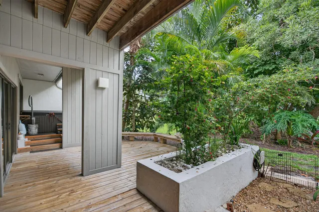 a view of a yard with plants