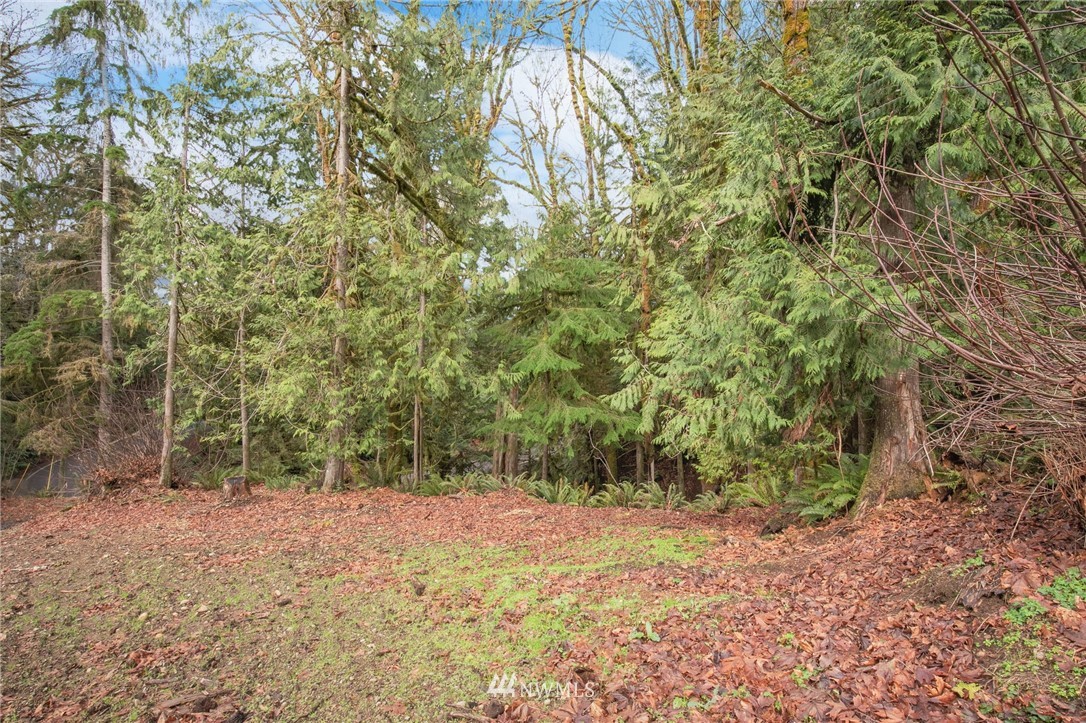 4-xx East Quilcene Road Quilcene, WA 98376 - Photo 11 of 15
