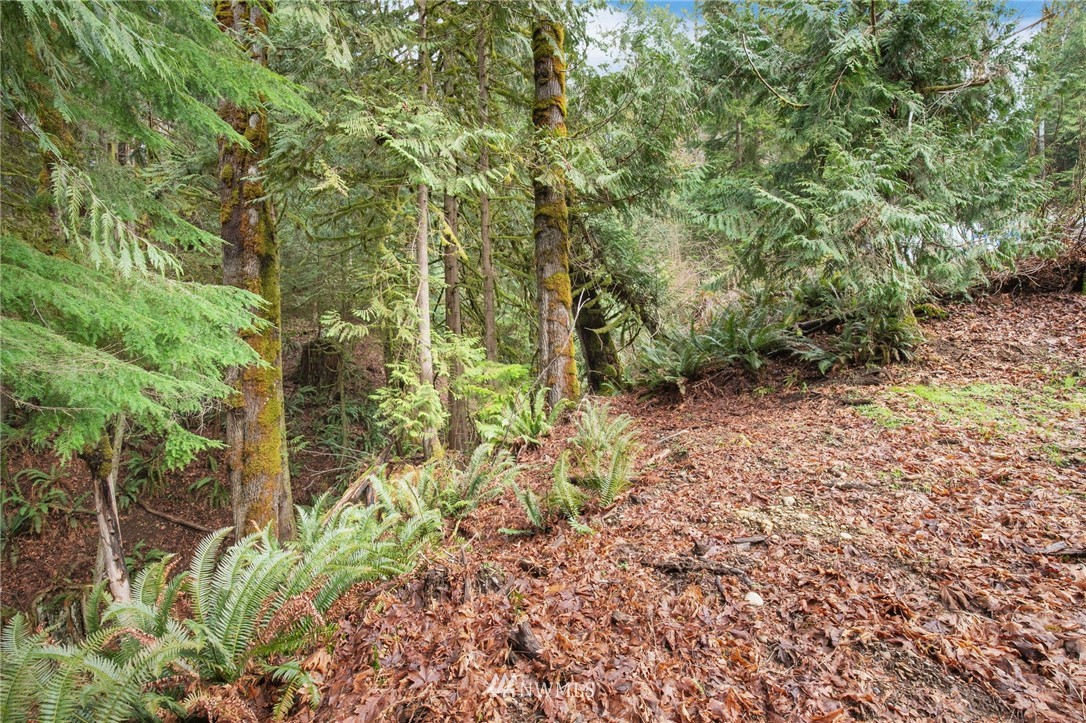 4-xx East Quilcene Road Quilcene, WA 98376 - Photo 12 of 15