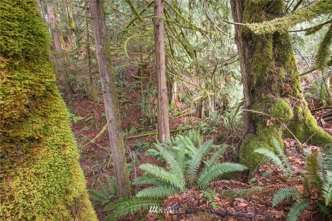 4-xx East Quilcene Road Quilcene, WA 98376 - Photo 13 of 15