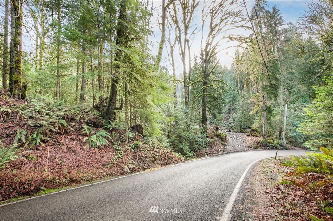 4-xx East Quilcene Road Quilcene, WA 98376 - Photo 4 of 15