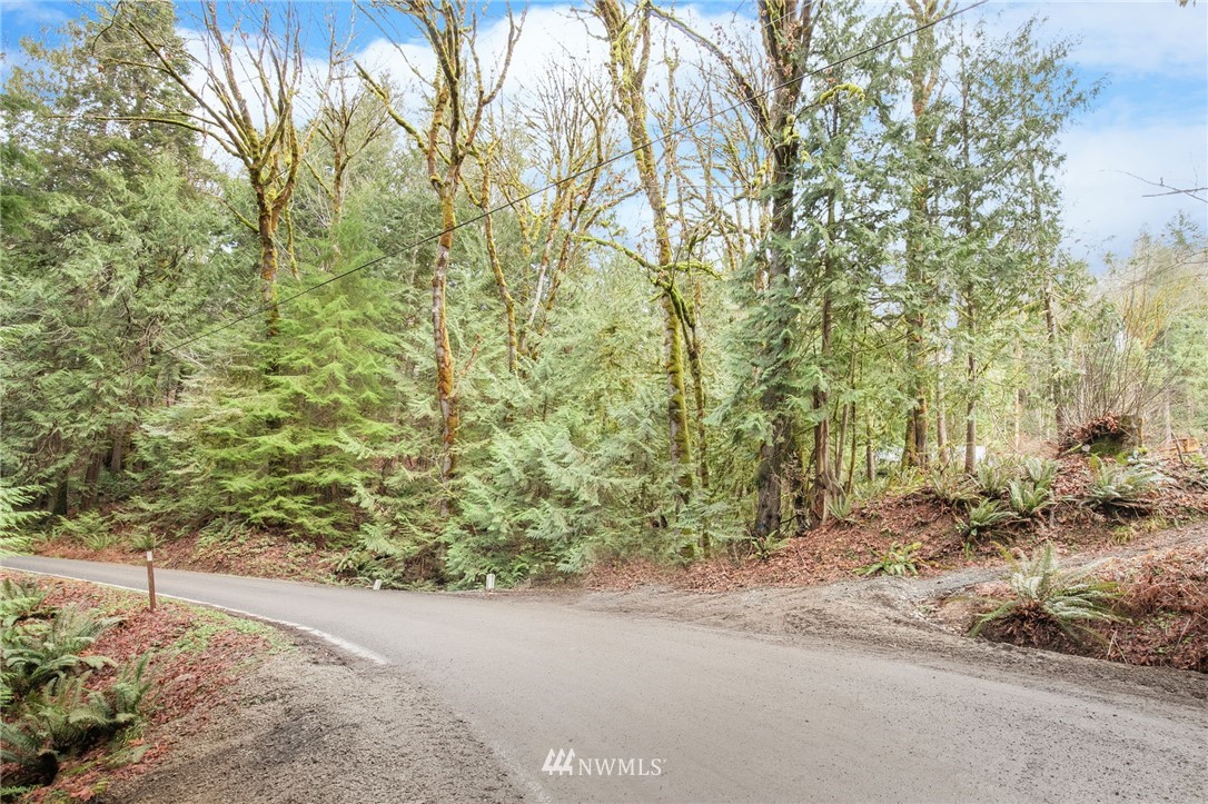 4-xx East Quilcene Road Quilcene, WA 98376 - Photo 5 of 15