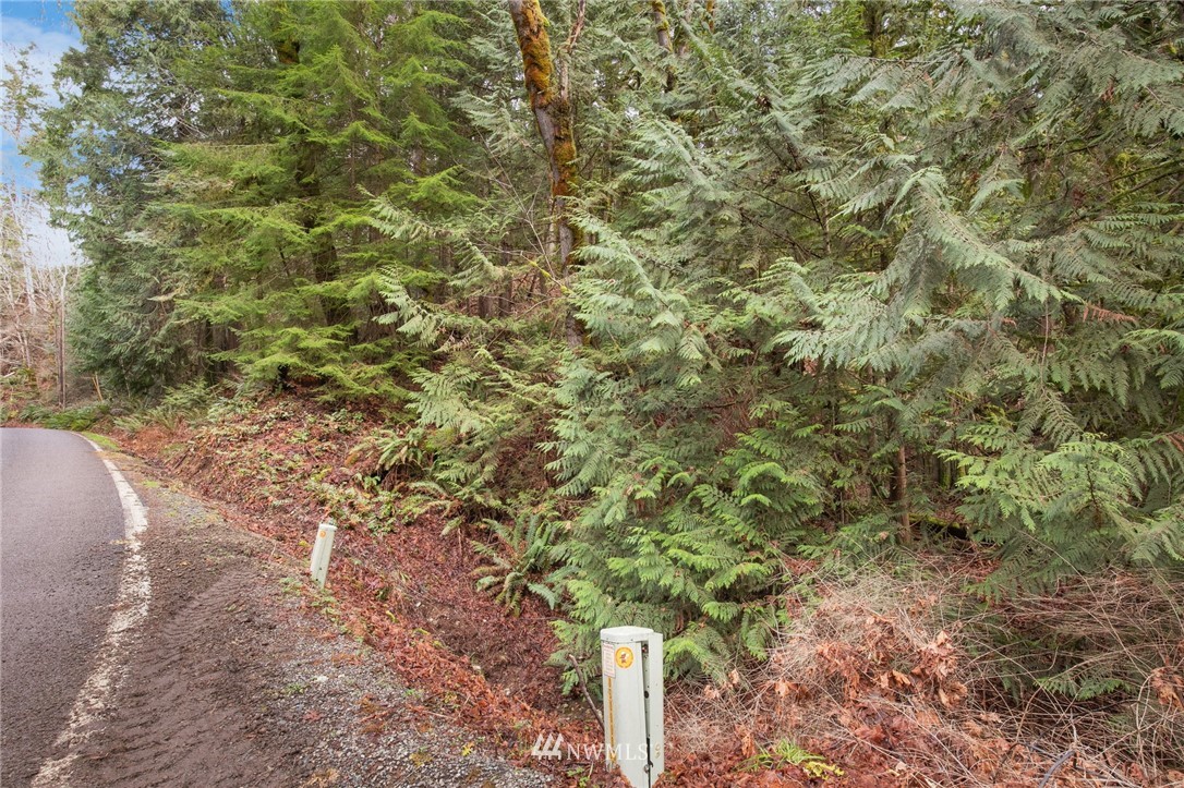 4-xx East Quilcene Road Quilcene, WA 98376 - Photo 6 of 15