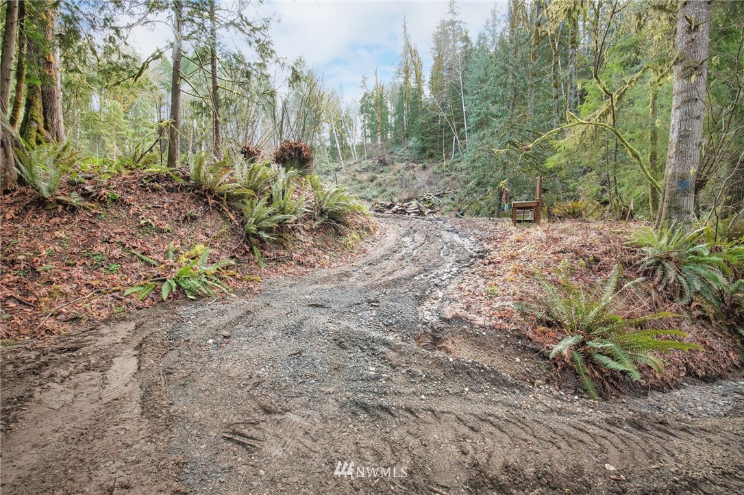 4-xx East Quilcene Road Quilcene, WA 98376 - Photo 7 of 15