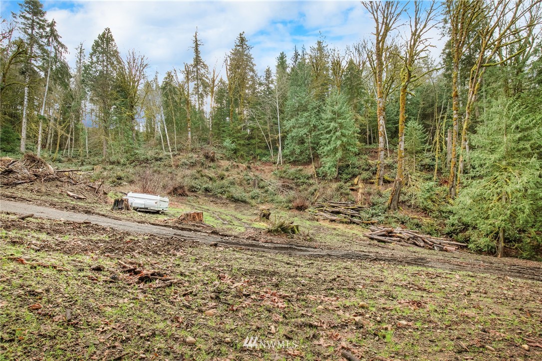 4-xx East Quilcene Road Quilcene, WA 98376 - Photo 9 of 15