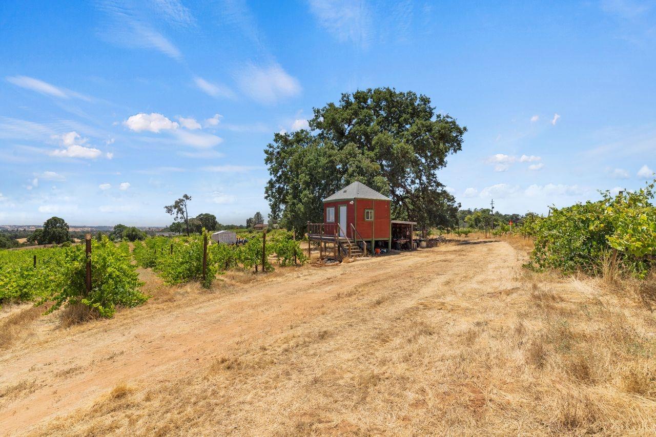 21226 Dickson Road Plymouth, CA 95669 - Photo 13 of 33