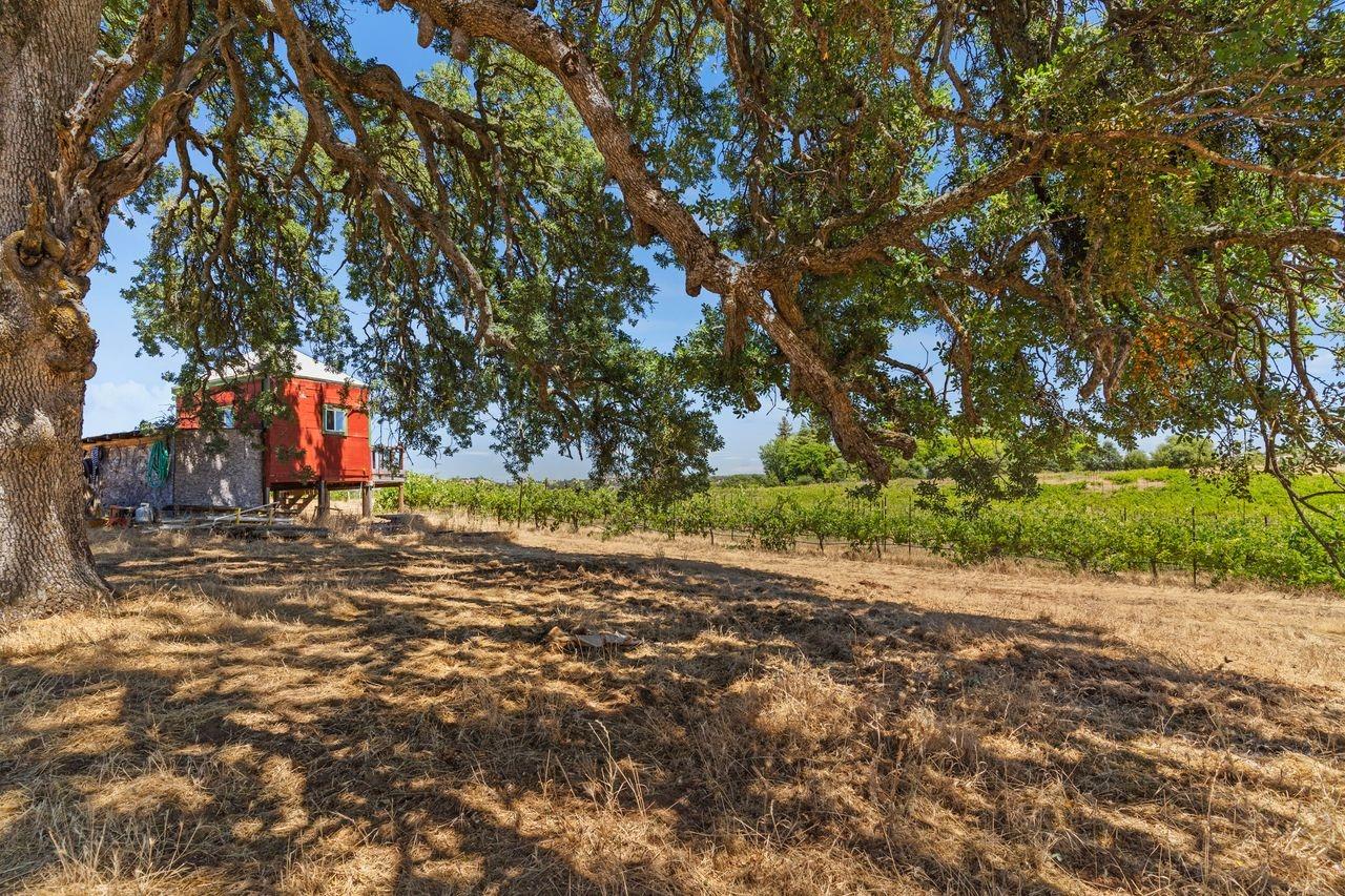 21226 Dickson Road Plymouth, CA 95669 - Photo 19 of 33 a view of road with large trees