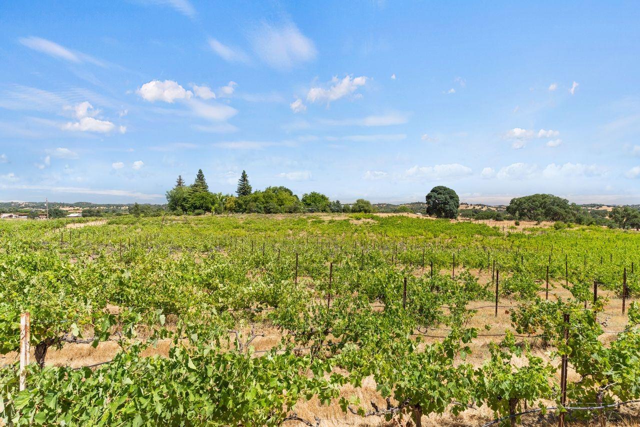 21226 Dickson Road Plymouth, CA 95669 - Photo 27 of 33 a view of a lake