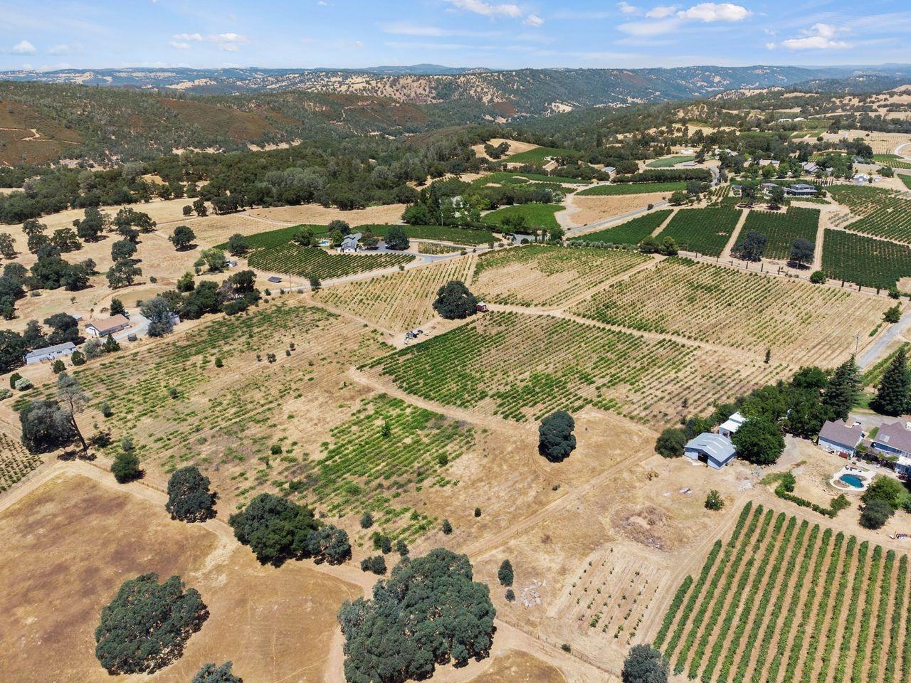 21226 Dickson Road Plymouth, CA 95669 - Photo 9 of 33