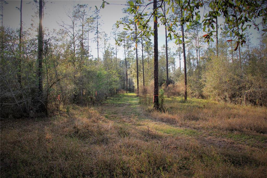 772 B Cr Webster, FL 33597 - Photo 11 of 26