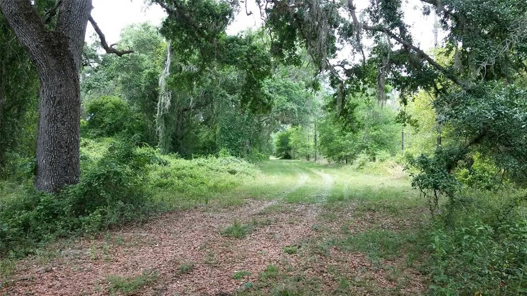 772 B Cr Webster, FL 33597 - Photo 12 of 26