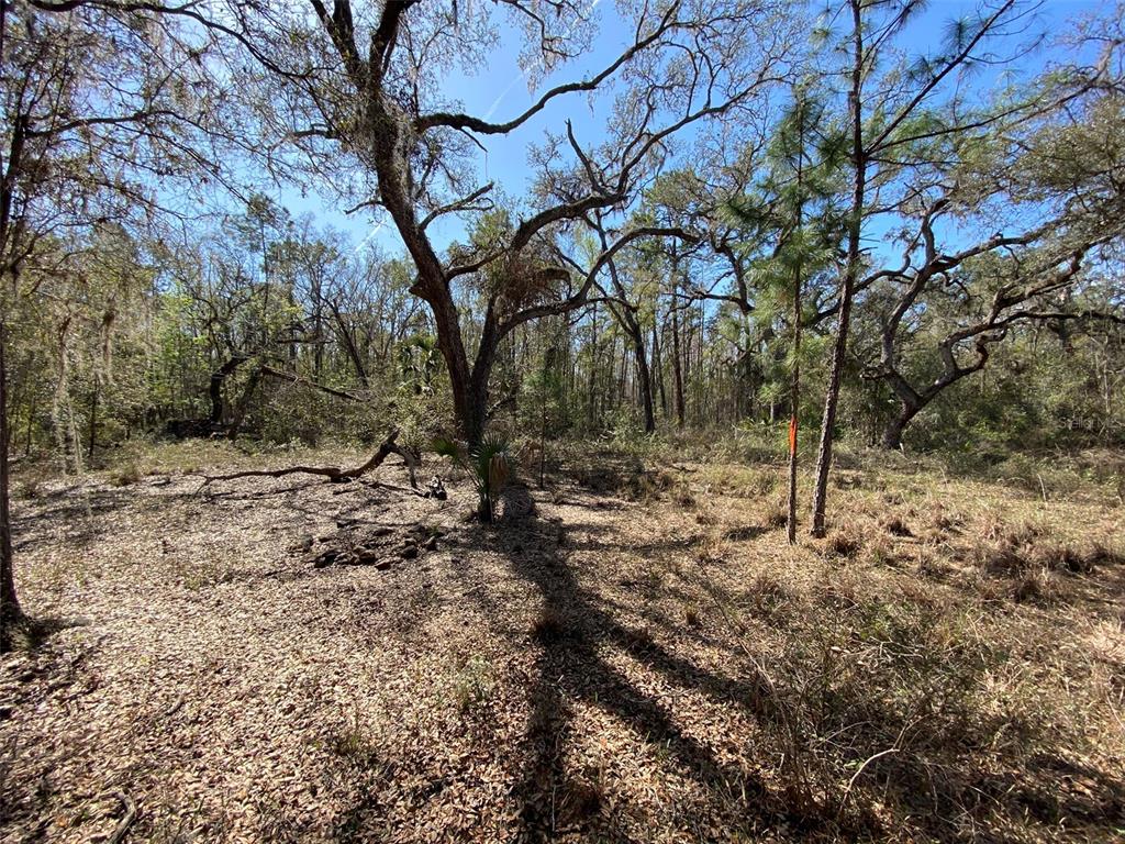 772 B Cr Webster, FL 33597 - Photo 14 of 26