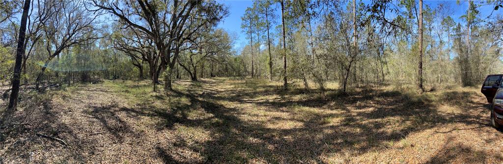 772 B Cr Webster, FL 33597 - Photo 15 of 26