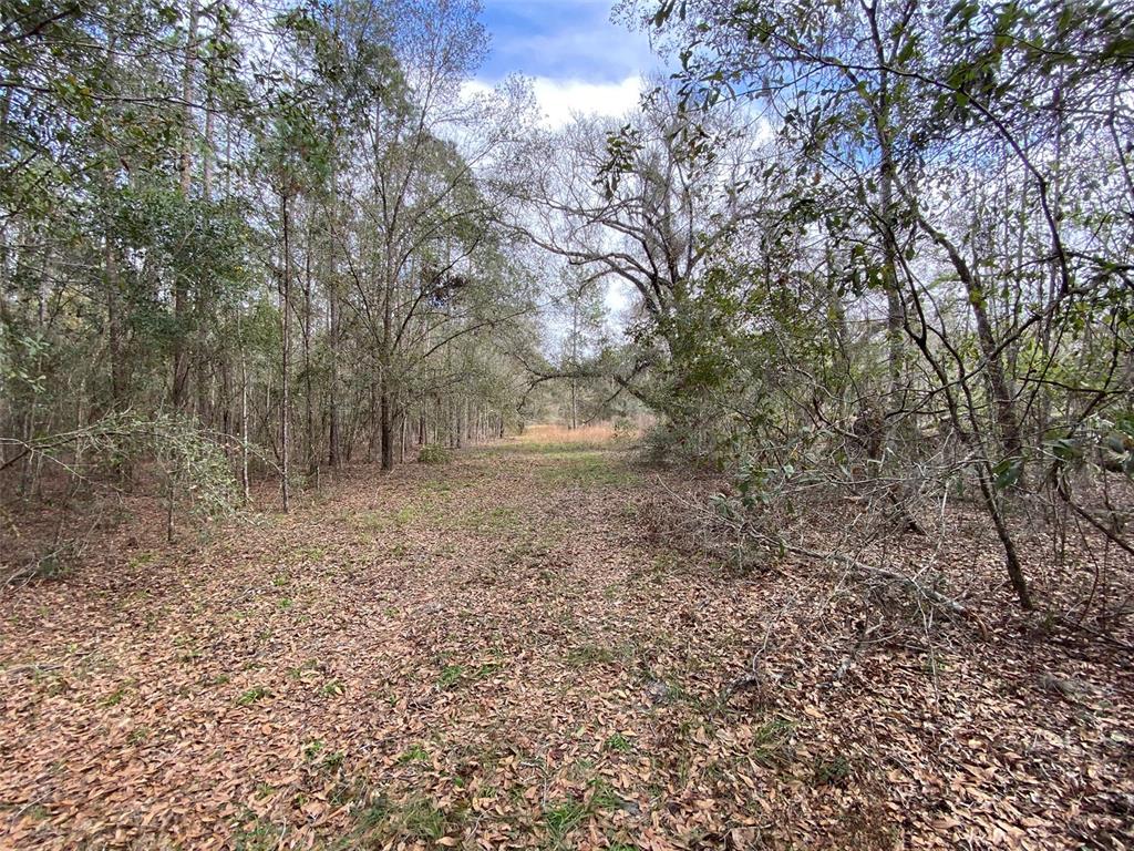 772 B Cr Webster, FL 33597 - Photo 17 of 26